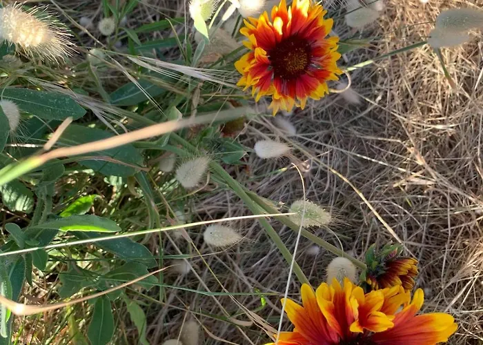 Des Braves In Omaha Beach, Sea View Villa